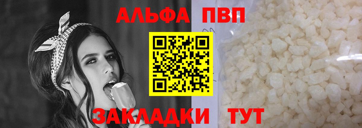 Alfa_PVP СК КРИС Балтийск