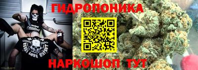 крисы Ипатово