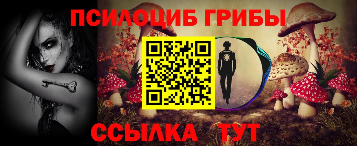 Балтийск  Псилоцибиновые грибы Psilocybine cubensis  Вход с VPN  Псилоцибиновые грибы Psilocybe 